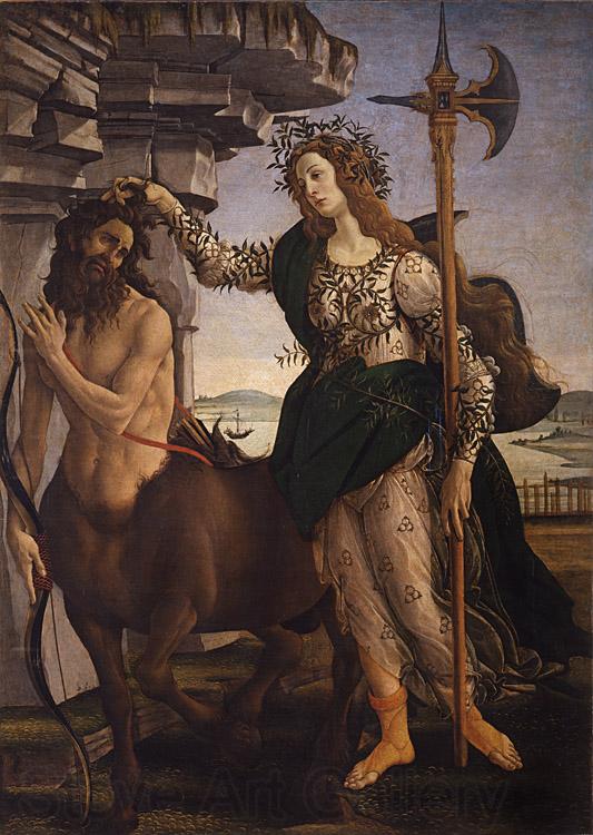 Sandro Botticelli Pallas and the Centaur (mk08) Spain oil painting art